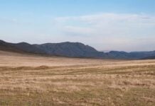 Преодоление Мужского Бесплодия: 10 Стратегий для Психического Здоровья