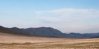 Преодоление Мужского Бесплодия: 10 Стратегий для Психического Здоровья