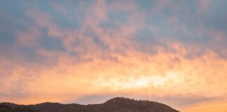 Продумані подарунки: чому досвід важливіший за речі