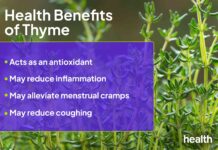The Healing Power of Thyme: Science-Backed Benefits and Safe Use