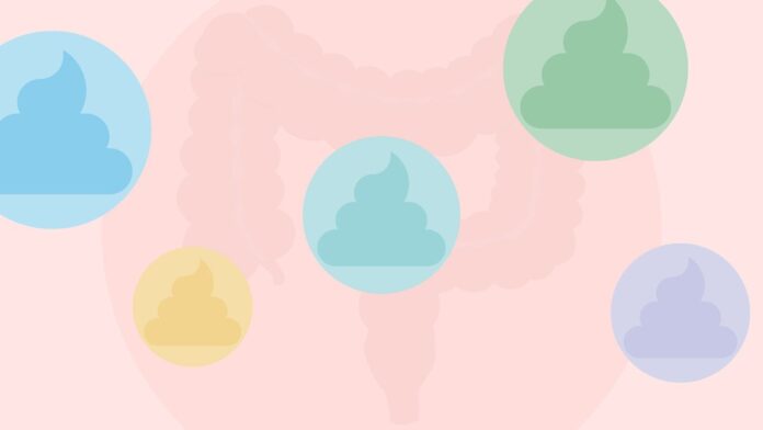 491490d8-803b-4c46-a696-375f63c0bc8c