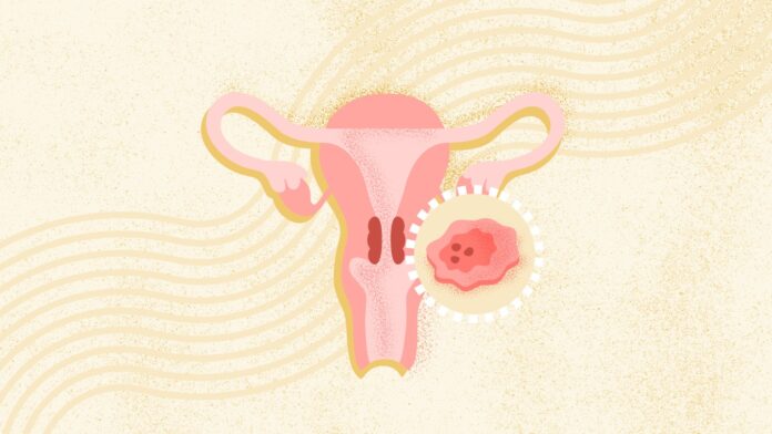 82b4ff54-252e-4e2e-b4ad-8a71a9645846