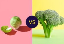 Brócoli y coles de Bruselas: un enfrentamiento nutricional