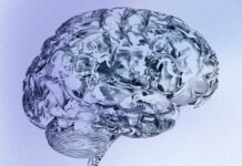 Аеробні вправи пов’язані з поліпшенням здоров’я мозку у людей похилого віку: нові результати дослідження