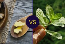 Імбир проти м’яти: що ефективніше від нудоти?