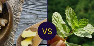 Імбир проти м’яти: що ефективніше від нудоти?