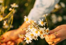 Весняне рівнодення: Природний Перезапуск для Тіла та Розуму