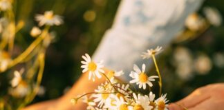 Весняне рівнодення: Природний Перезапуск для Тіла та Розуму