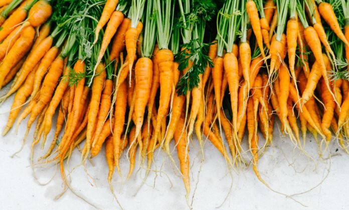 dfa380ca-e4d5-408f-8a2f-7341fa4107c6