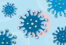 Новий варіант COVID BA.3.2 (Цікада) з’явився: що вам потрібно знати