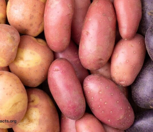 Більш ніж просто крохмаль: чому фіолетова картопля – це суперфуд